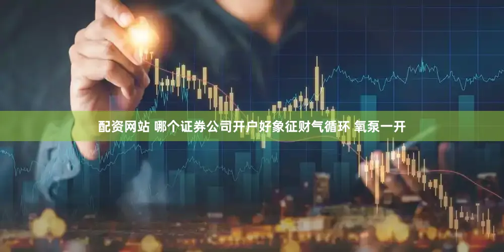 配资网站 哪个证券公司开户好象征财气循环 氧泵一开