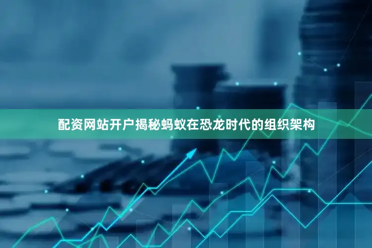 配资网站开户揭秘蚂蚁在恐龙时代的组织架构