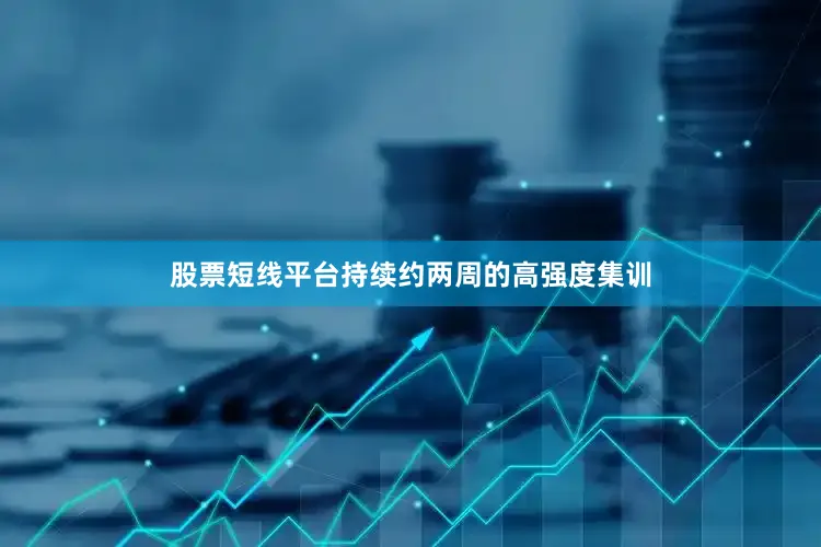 股票短线平台持续约两周的高强度集训