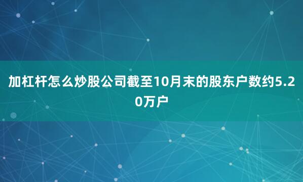 加杠杆怎么炒股公司截至10月末的股东户数约5.20万户