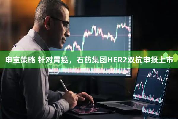 申宝策略 针对胃癌，石药集团HER2双抗申报上市
