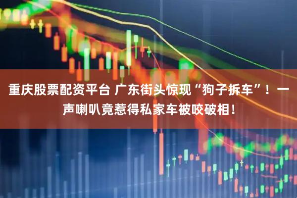重庆股票配资平台 广东街头惊现“狗子拆车”！一声喇叭竟惹得私家车被咬破相！